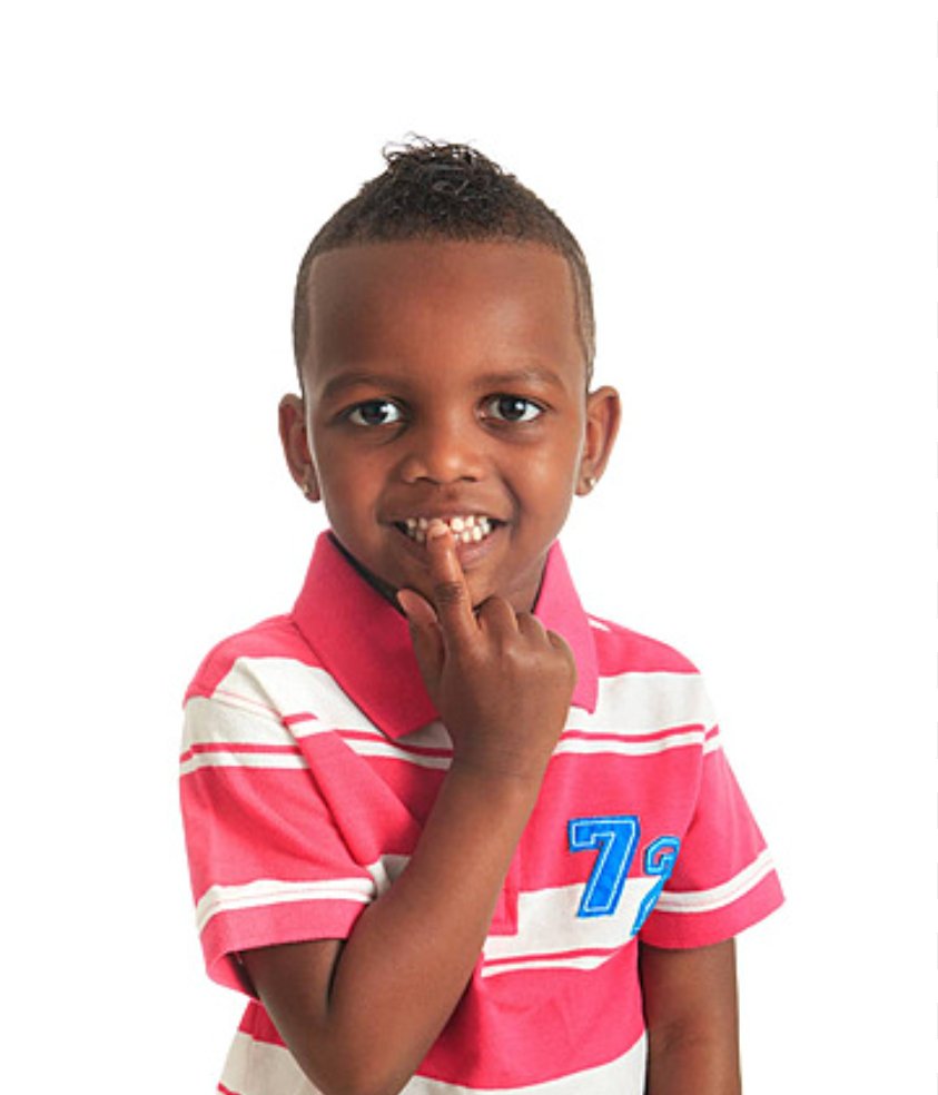 نسيم البشيري